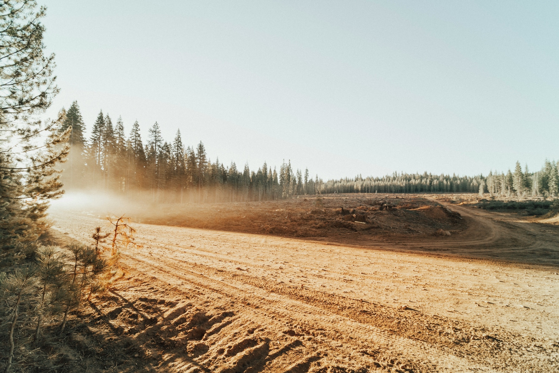 Land Clearing in Grande Prairie